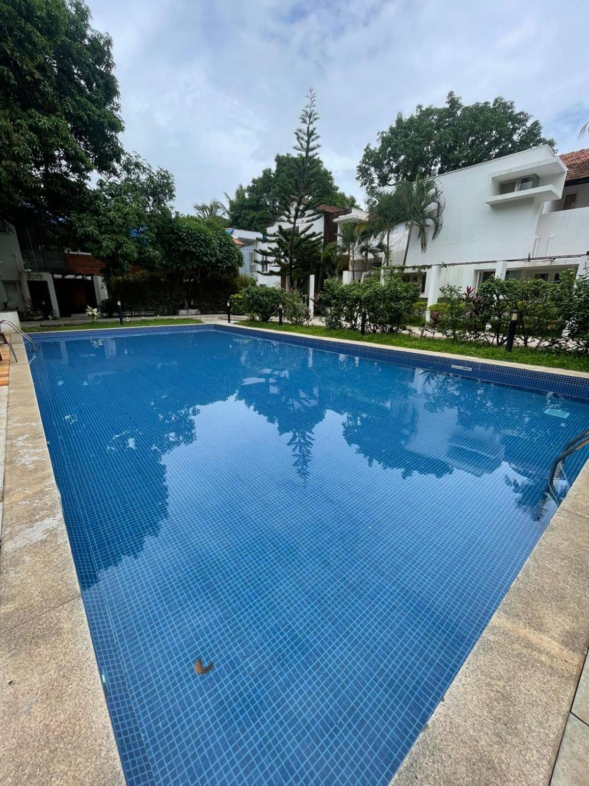 Villa M - Solitude 2 Candolim Goa 3Bhk, Pool Facing, Near Beach, Free Breakfast, Free Wifi And Prime Location Eksteriør billede